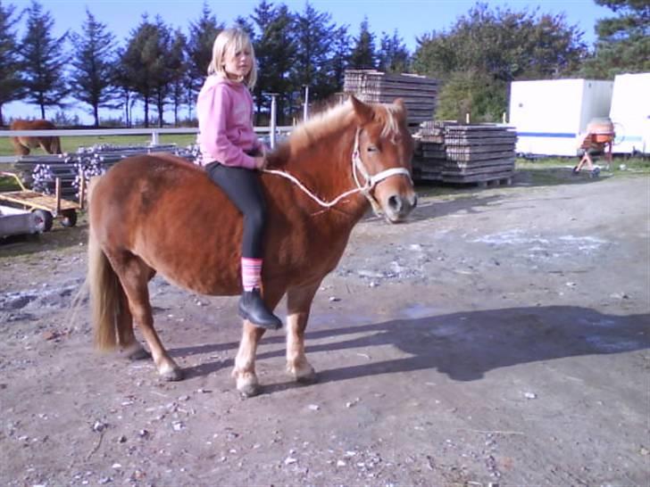 Anden særlig race pippi<3 - ved godt at man ikke må ride uden ride hjelm men gjorde det bare lige hurtigt <3 hehe billede 10