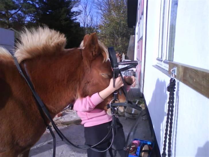 Anden særlig race pippi<3 - er ved at lægge hovedtøj på <3 billede 11