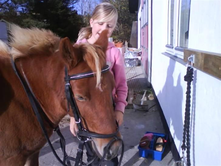 Anden særlig race pippi<3 - heiij pippi billede 12