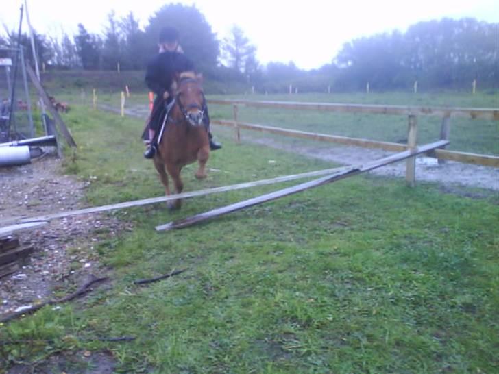 Anden særlig race pippi<3 - spring<3 billede 17