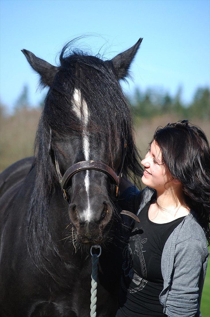 Anden særlig race Pippi - Uha det er godt at blive nusset når der tages billeder billede 14