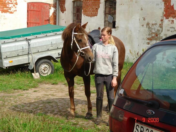 New Forest Roløkke Alpe - mig og alpe tøzzen :b  billede 6
