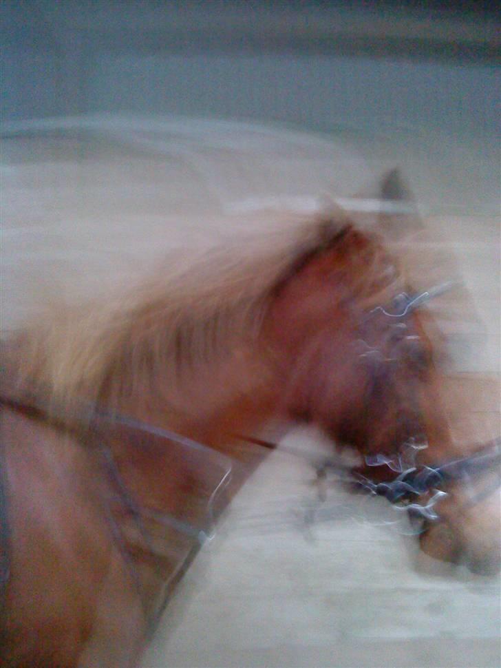 DSP Dublin  billede 16