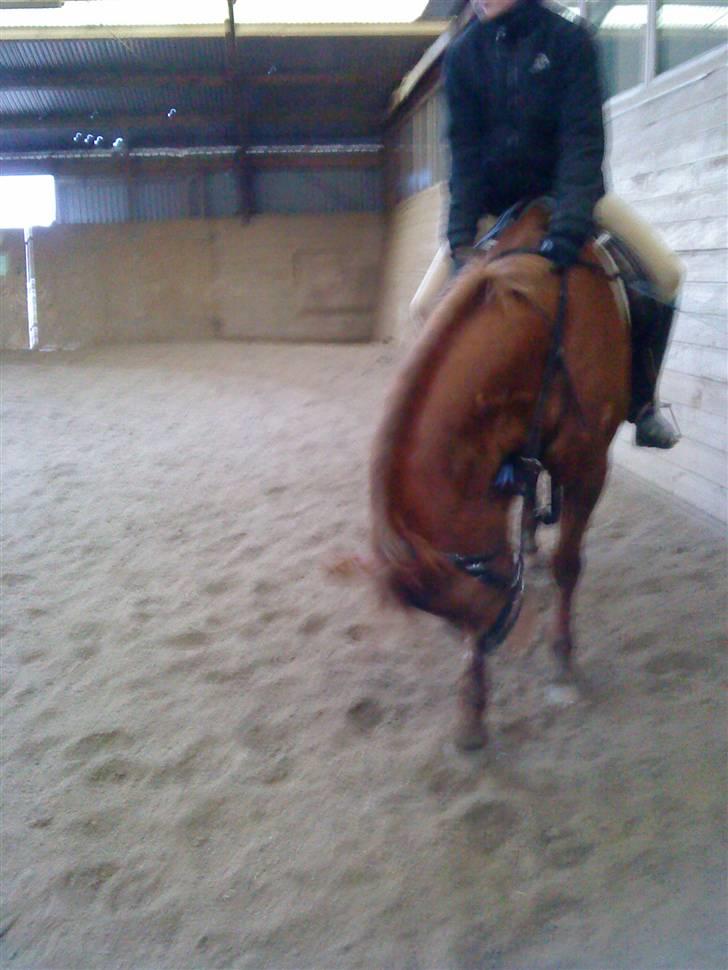 DSP Dublin  billede 17