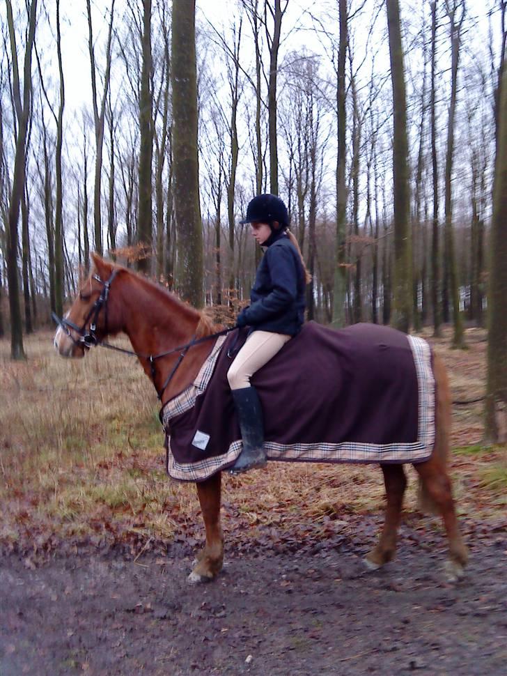 DSP Dublin  billede 19