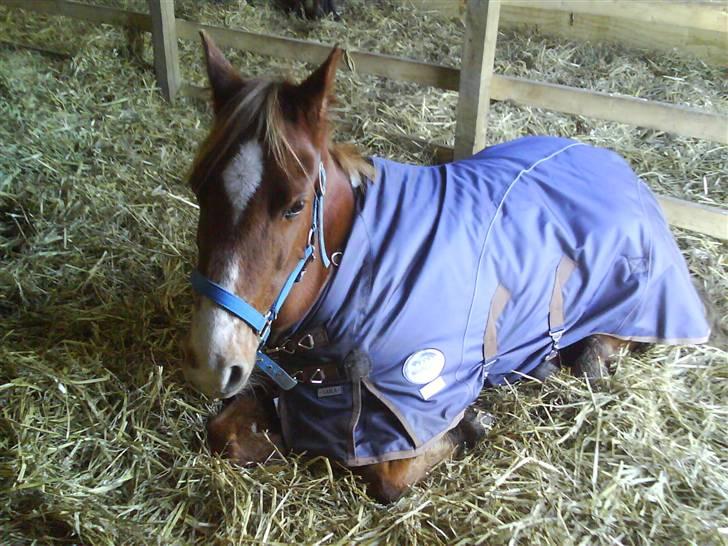 DSP Dublin  billede 20