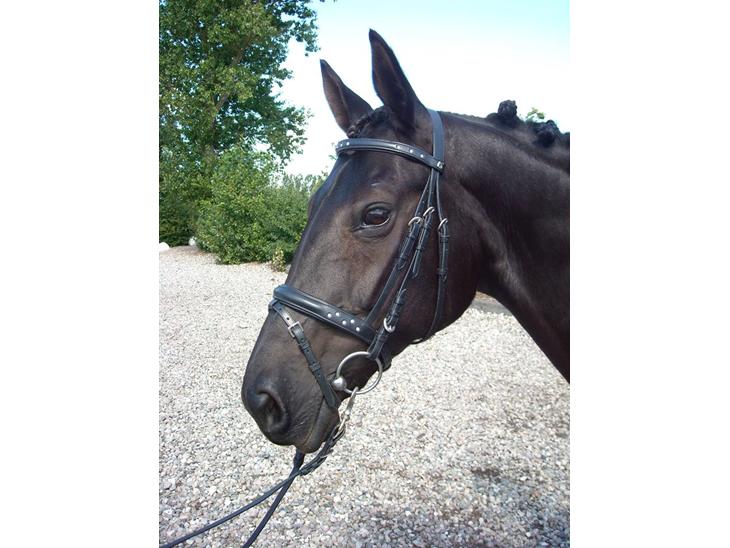 {{currentPhoto.altText}} billede {{currentPhoto.number}}