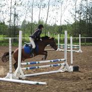 Anden særlig race King Edward >>solgt<< :)