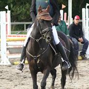 Anden særlig race Candy