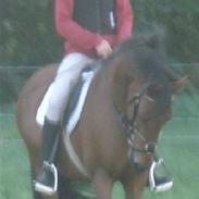 Anden særlig race Juel's Hope