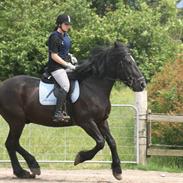 Anden særlig race Obelix [Tidligere redet]