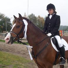 Anden særlig race Harley Davidson*Gl. part