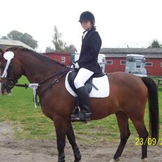 Anden særlig race Harley Davidson*Gl. part