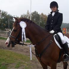 Anden særlig race Harley Davidson*Gl. part