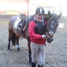 Knabstrupper gipsy (gamle part)