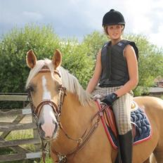 Palomino Golden Casanova (Himmelhest)