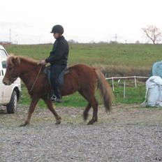 Islænder Askja fra Bomosen