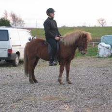 Islænder Askja fra Bomosen