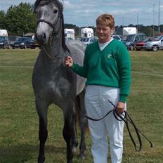 Connemara Lillerings Carlito