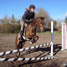 Anden særlig race Maarielunds Fairytale