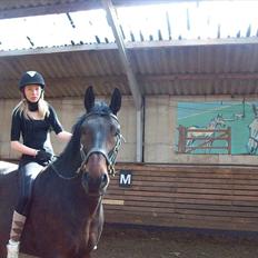 Anden særlig race Laurits (Kegle)  