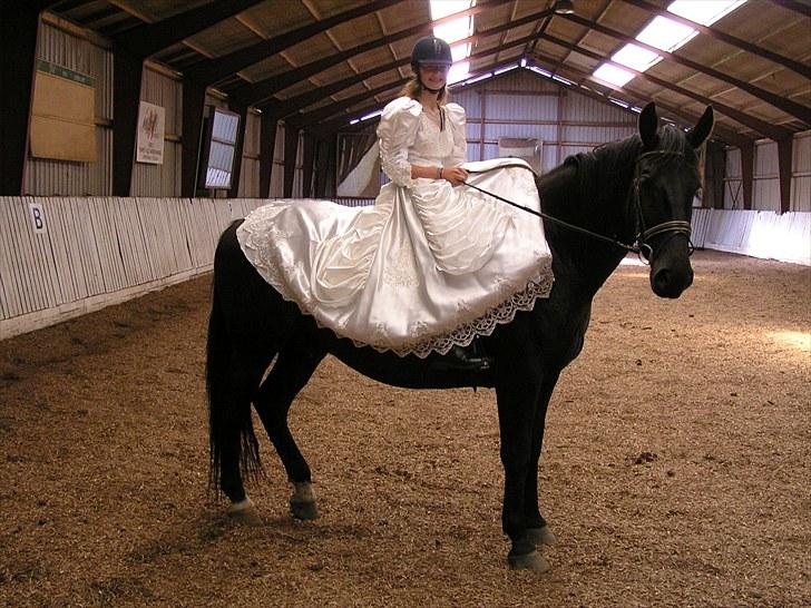 Oldenborg Sorte- PRÆMIE HESTEN!!<3 - Sorte og jeg der træner til pasdadeux:D billede 7