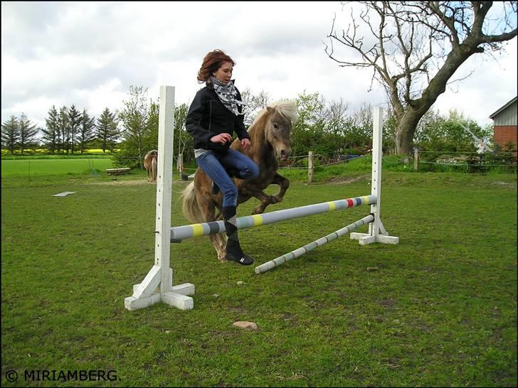 Anden særlig race Figaro - 05-2009. billede 4