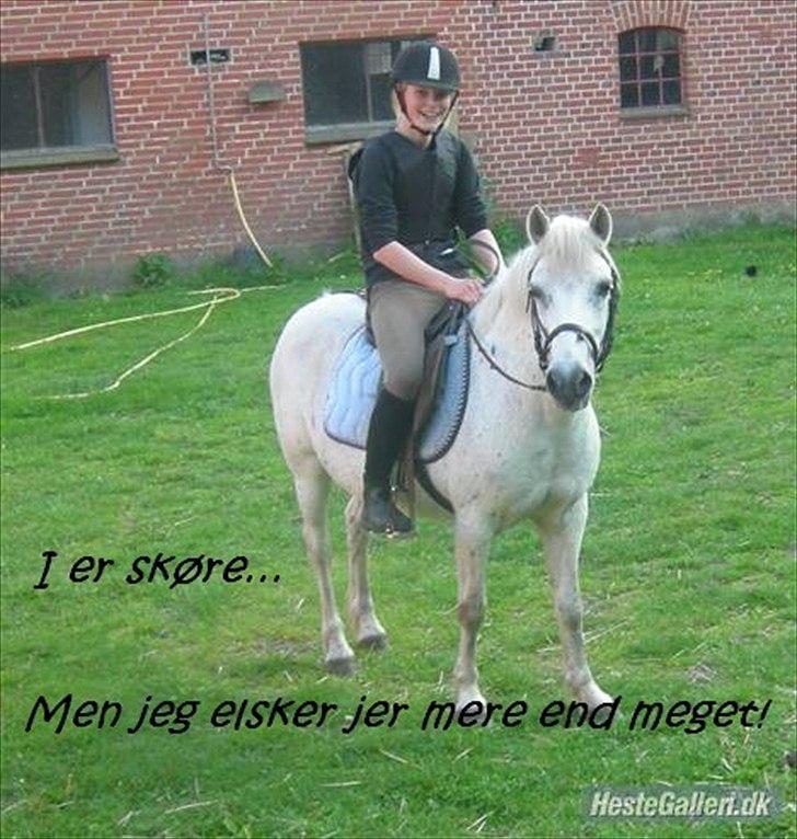 Anden særlig race Bella <3 - Billede nr.: 11* Søde Bella og Sidsel <3 billede 11