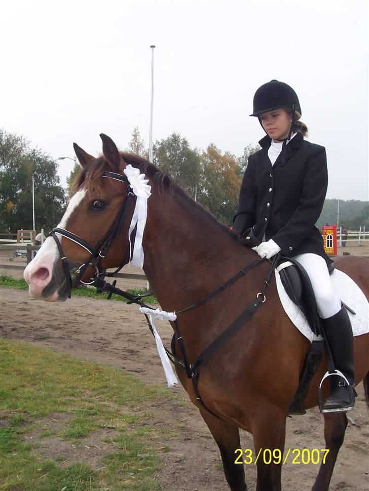 Anden særlig race Harley Davidson*Gl. part billede 1