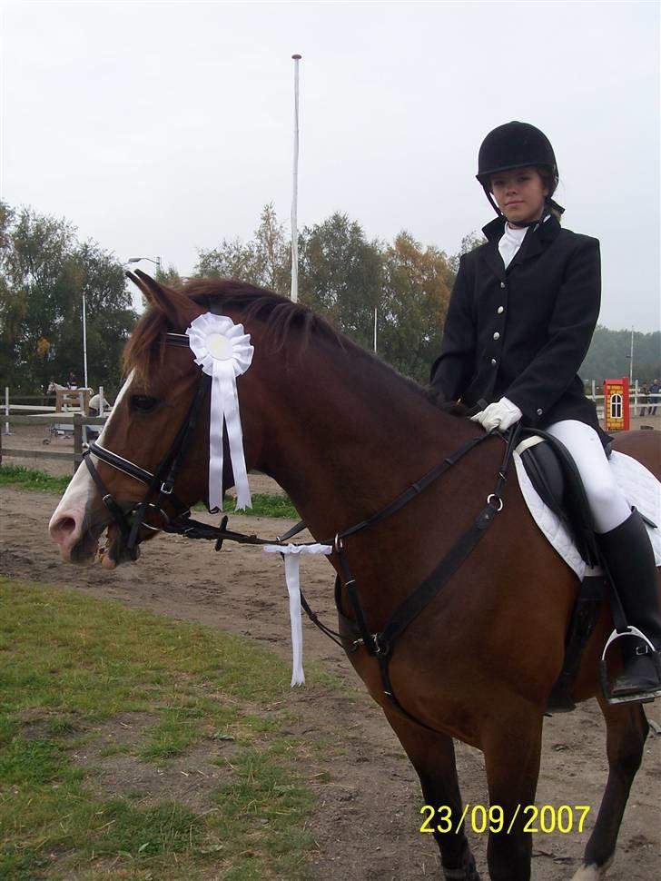 Anden særlig race Harley Davidson*Gl. part billede 3