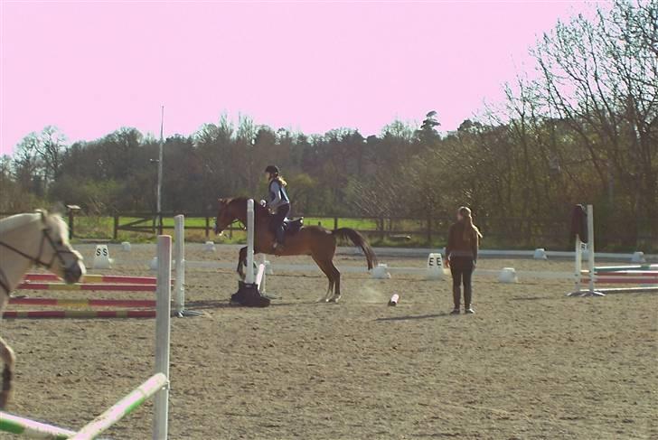 Anden særlig race Harley Davidson*Gl. part billede 4