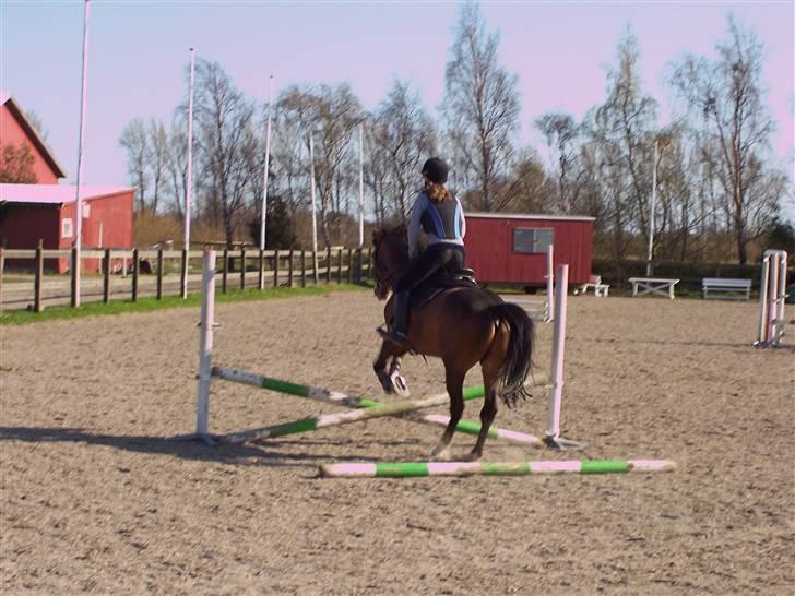 Anden særlig race Harley Davidson*Gl. part billede 5