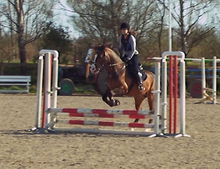 Anden særlig race Harley Davidson*Gl. part billede 6