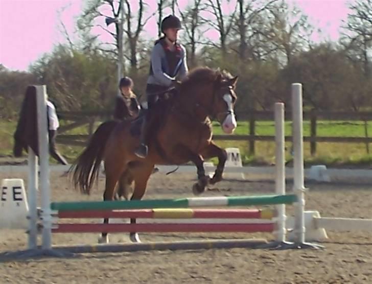 Anden særlig race Harley Davidson*Gl. part billede 7