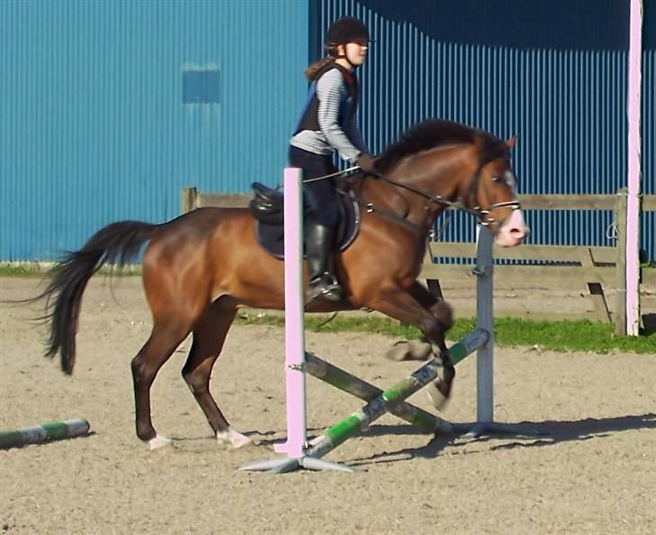 Anden særlig race Harley Davidson*Gl. part billede 8