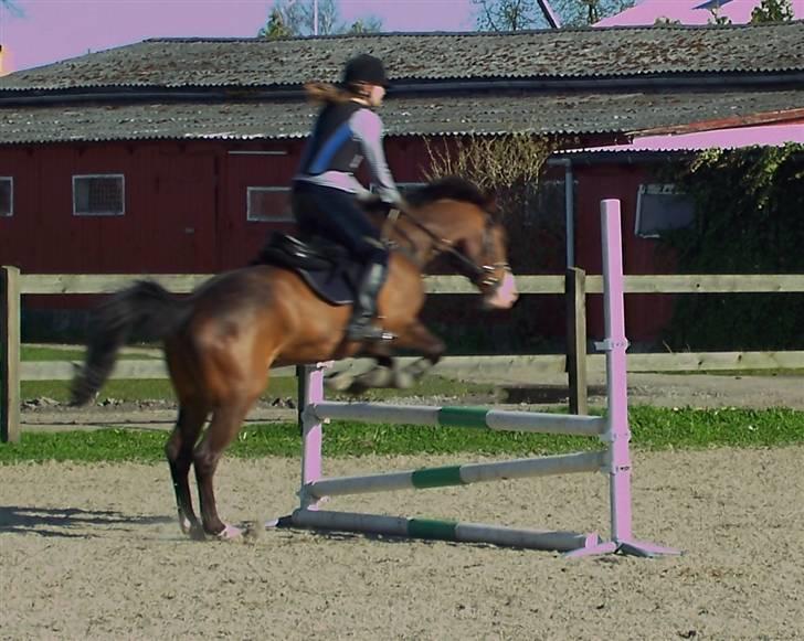 Anden særlig race Harley Davidson*Gl. part billede 9