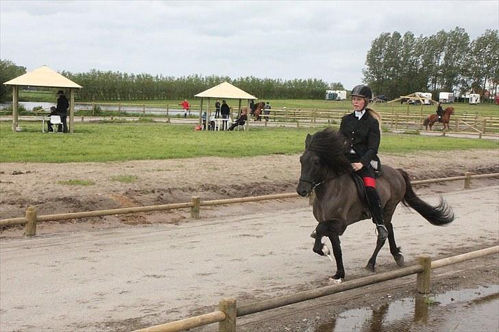 Islænder Smellur frá Reykjavik - Smellur og jeg til Elite a T.1 jun/ung finale, hvor jeg vandt med et snit på 5.61 med 6.33 i snit i arbejdstølt. billede 7