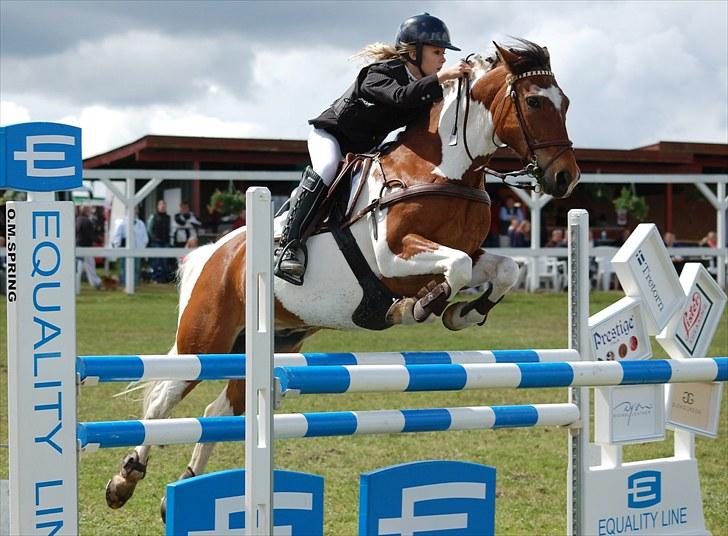 Pinto Sir Patrick B-pony - Velkommen til Sir Patrick profil<3<3   MA super pony<3<3.. foto mor Annika billede 1