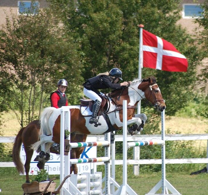 Pinto Sir Patrick B-pony - MA Landsstævne Silkeborg  .<3<3.(; foto: mor Annika billede 3