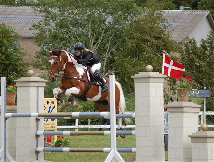 Pinto Sir Patrick B-pony - Landsstævne Silkeborg MA    foto Mor Annika billede 6