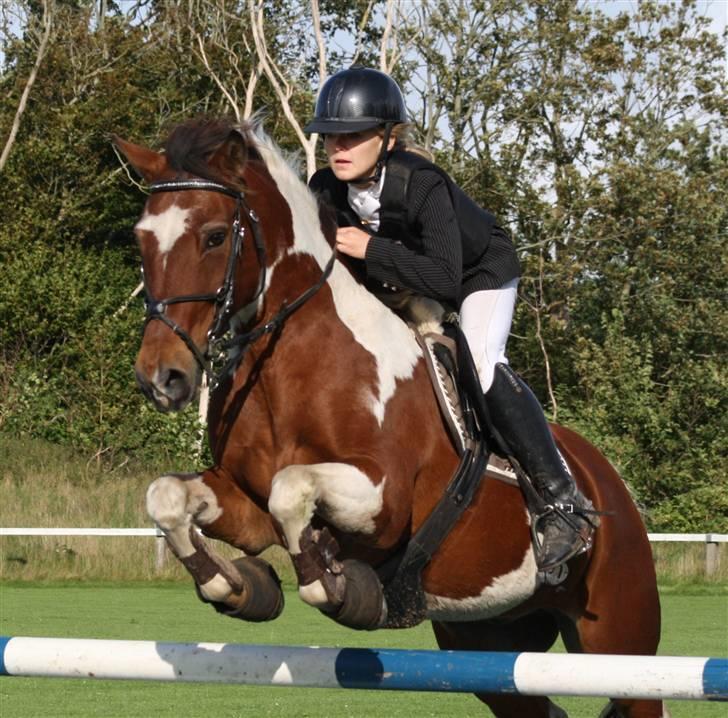 Pinto Sir Patrick B-pony - Elsker dig..<3<3 foto Mor Annika billede 16