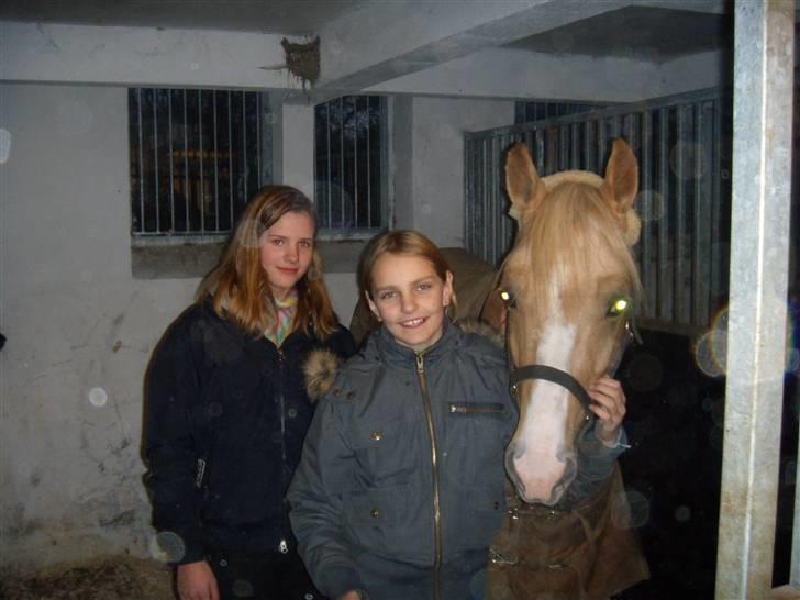 Palomino Golden Casanova (Himmelhest) -  Mig, Jeanette og Golden. Da jeg fik ham<33 billede 7