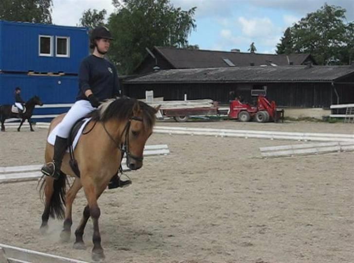 Anden særlig race Terkel, part :) - Stævne 20/6 09, 1. plads i LC1 og senere 3. plads i LC2 :D billede 1