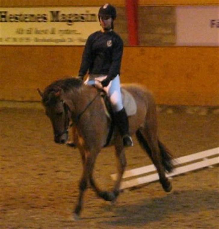 Anden særlig race Terkel, part :) - 22/11 08, 2. plads LC2 :) billede 2