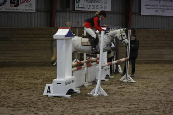 DSP Flicka  billede 14