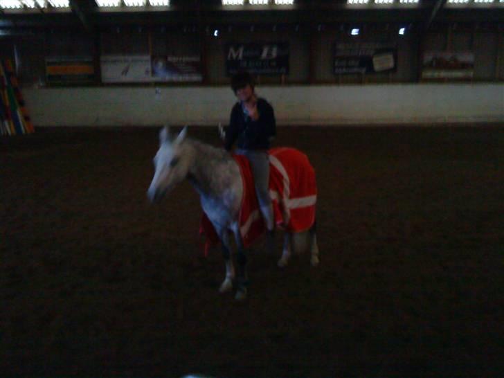 DSP Flicka  billede 19