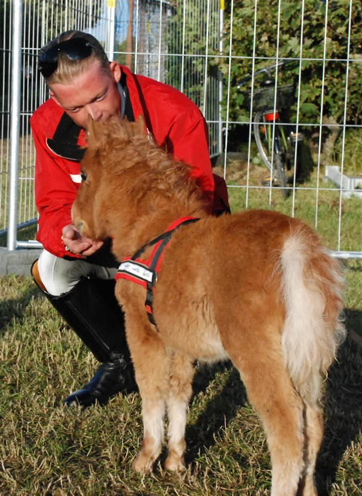 Dansk Miniature Egehøjs Red Hot Double Sh - Joachim Chr. Thomsen & Shot 2008 billede 20