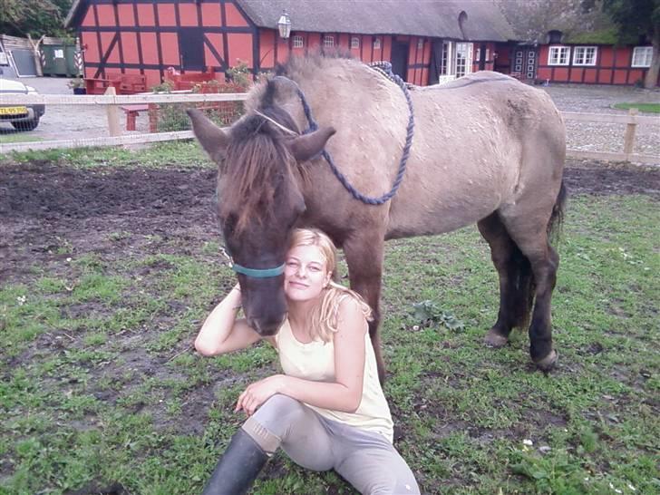 Islænder Urdúr<3 - Mig og ødur billede 13