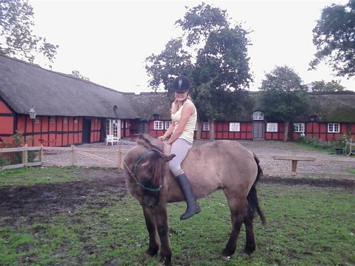 Islænder Urdúr<3 - smukke ødur  billede 14