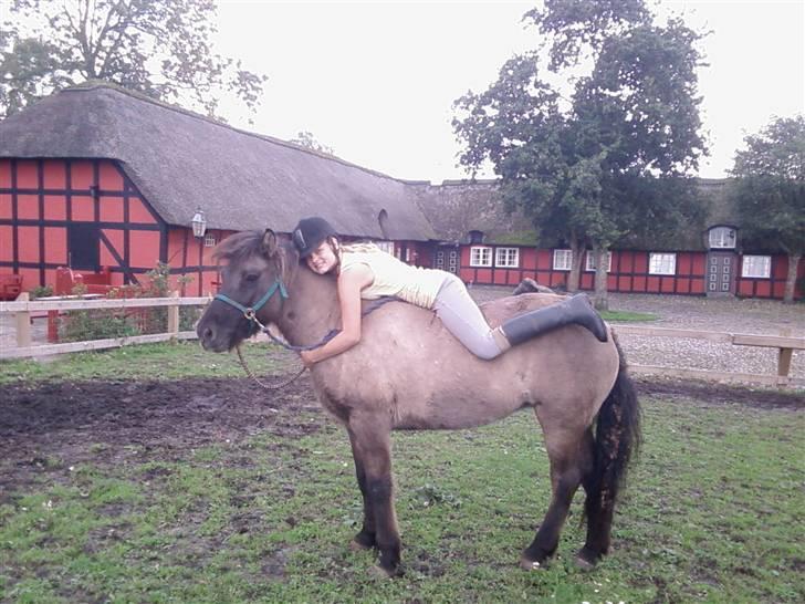 Islænder Urdúr<3 - Leger på tøssen billede 15